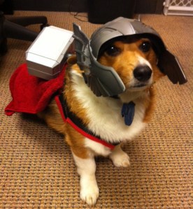 thorgi
