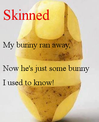My Bunny Got Skinned
