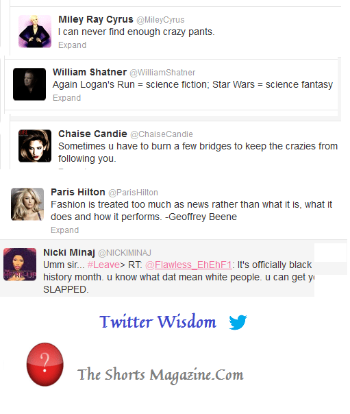 twitter wisdom02022013