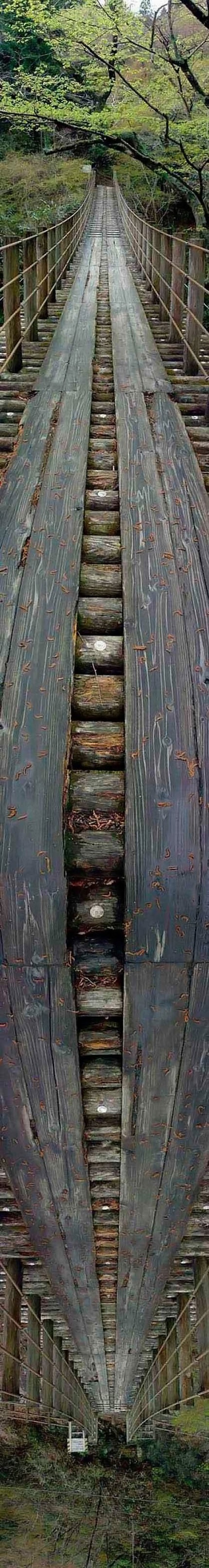 360 degree bridge