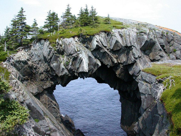 Berry Head Arch
