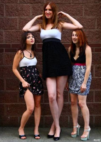 giant ginger