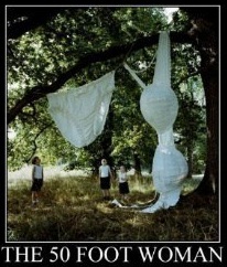 giant bra and panties