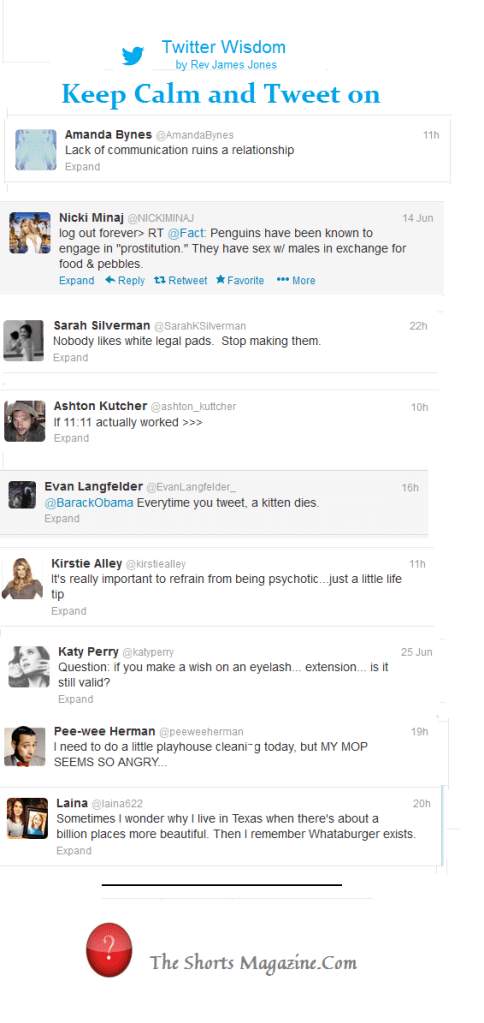 twitter wisdom july 2013