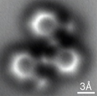 atomic force microscope