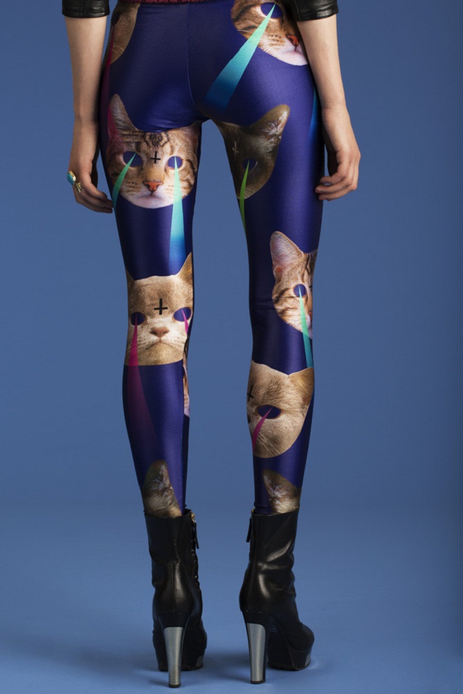 internet cat got your pants