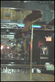 professional pole dancer