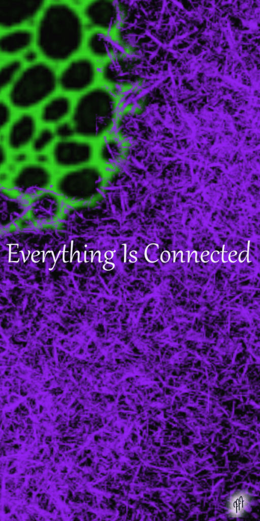 You are one with the universe