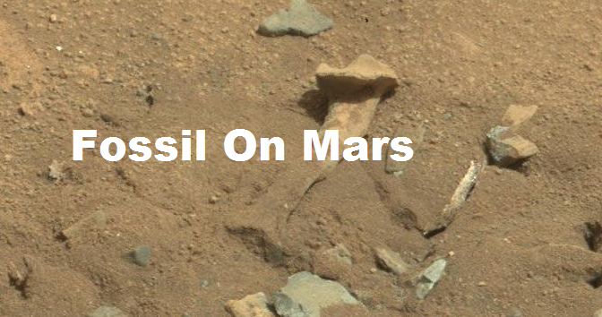 Life On Mars