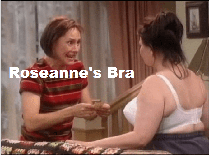 Rose Ann Barrs Bra