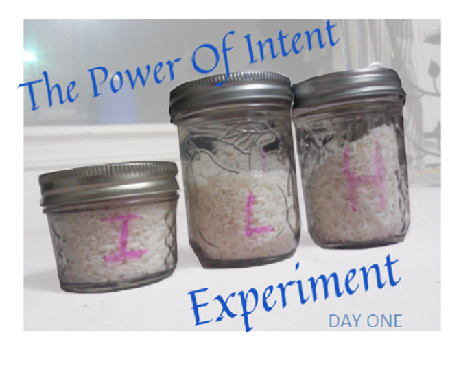 Power of Intent rice experiment
